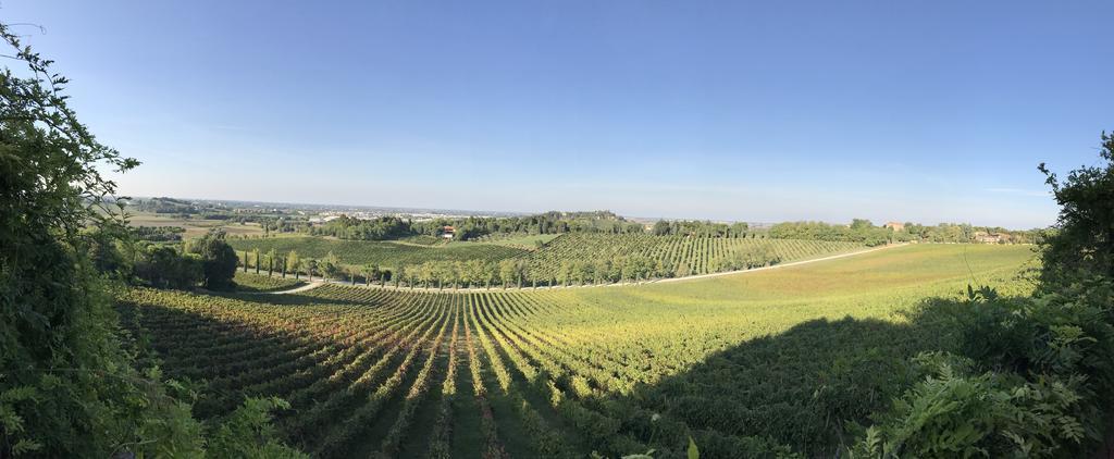 Fattoria Paradiso แบร์ตินอโร ภายนอก รูปภาพ
